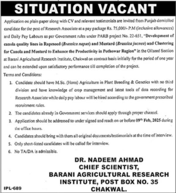 Barani Agriculture Research Institute Chakwal Apply Jobs 2025
